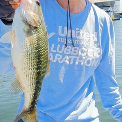 Fishing at Branson