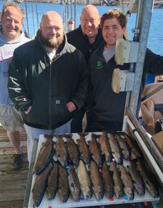 Two rainbow trout caught in Branson