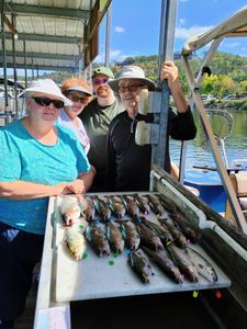 Four people fishing at a scenic location in MO