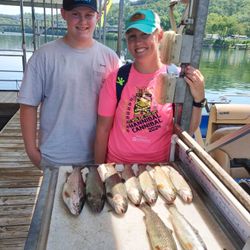 6 rainbow trout caught in MO