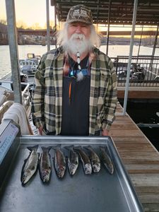 Fish-Species