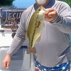 Largemouth bass caught in Branson, Missouri