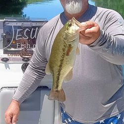 Largemouth Bass caught while fishing in Branson