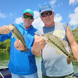 Two largemouth bass caught while fishing in Branson