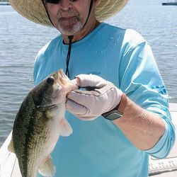 Largemouth Bass caught while fishing in MO