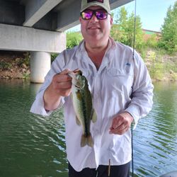 Largemouth bass caught while fishing in MO