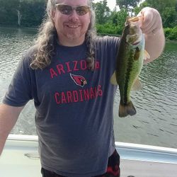 Largemouth Bass caught in MO