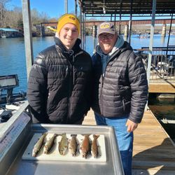 7 rainbow trout caught in Branson