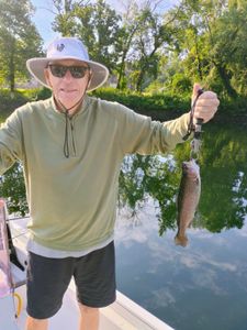 A single rainbow trout caught while fishing in Branson