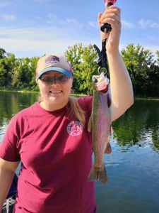 Rainbow trout caught while fishing in Branson