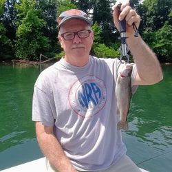 Rainbow trout caught while fishing in Branson