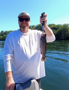 A single rainbow trout caught while fishing in Branson