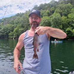 A lone rainbow trout caught by a fisherman in Branson