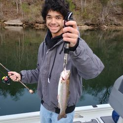 Rainbow Trout, 239 inches, fishing in Branson