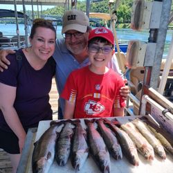 Four rainbow trout caught in Branson