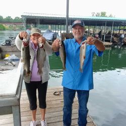 4 rainbow trout caught in Branson, Missouri