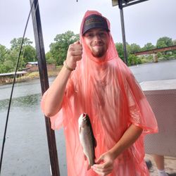 Rainbow Trout, 10-inch fish, fishing in MO