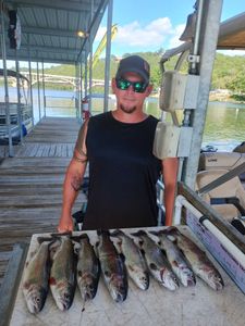 7 rainbow trout caught in Missouri river