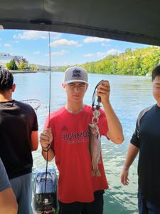 Rainbow Trout caught while fishing in MO
