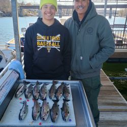 6 rainbow trout caught while fishing in Branson