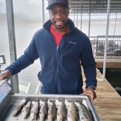 Six rainbow trout caught by an angler in Branson