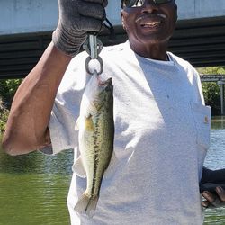 Spotted bass caught while fishing in MO
