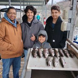 3 freshwater fish caught while fishing in Missouri