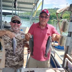Three rainbow trout caught in Branson, Missouri