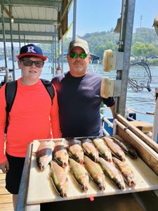 Three rainbow trout caught while fishing in Branson