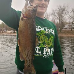 Angler holding a large rainbow trout in Missouri