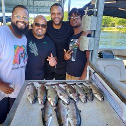 9 rainbow trout caught in Branson, Missouri