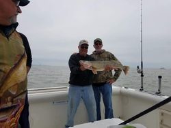 Walleye fishing in Lake Erie