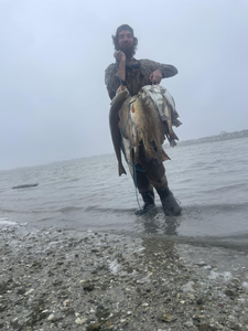 Angler with 18-inch catch in TX
