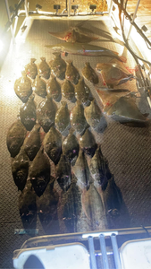 Fishing in the beautiful Aransas Pass