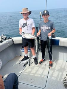 Two Coho Salmon, 16 inches long, caught while fishing in MI