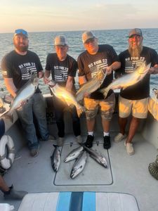 6 fish caught during a cruises and fishing trip in Muskegon