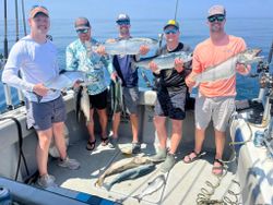 4 rainbow trout caught fishing in Muskegon