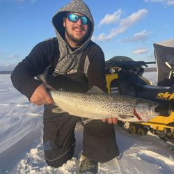Caught a 19-inch Sea Trout while fishing in MI