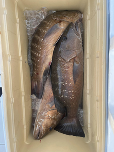 Fishing in Florida with the Best, great catch
