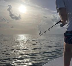 Picturesque scene of Islamorada, Florida
