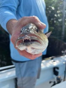Fishing adventure in FL