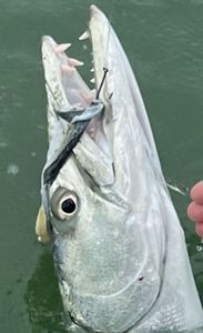 Fishing trip in FL
