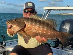 Angler with a big 29-inch catch in Islamorada