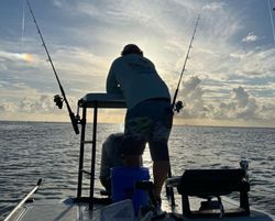 Scenic view of the Islamorada coastline with fishing equipment