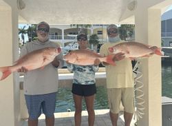 3 mutton snapper fish caught while fishing in FL