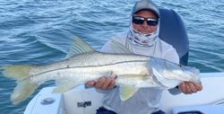 Snook fish caught while fishing in Islamorada