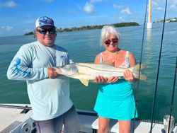 Snook fish caught while fishing in Islamorada