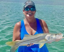 Snook fishing in Islamorada