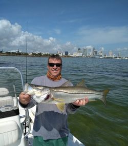 Snook season in full swing