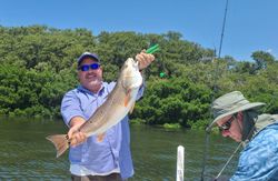 St. Pete redfish on the line